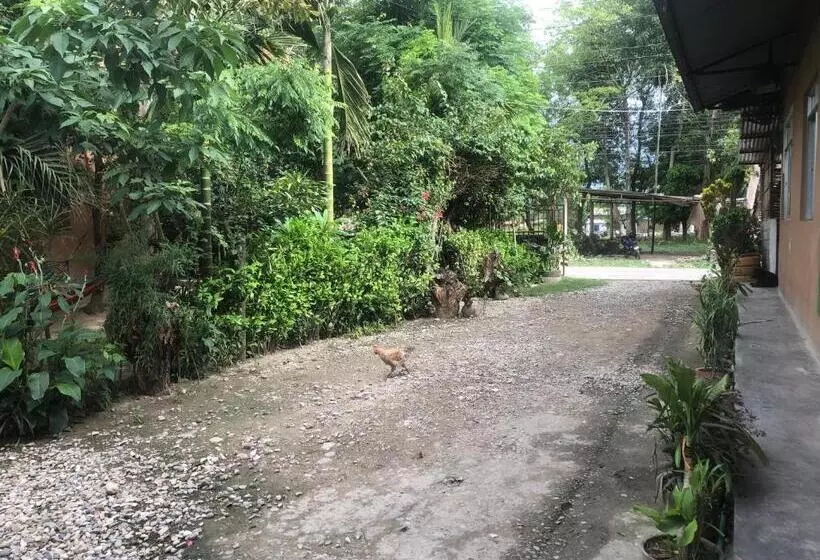 پانسیون Tara Guesthouse   Sauraha,chitwan