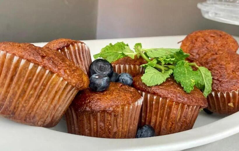 리조트 Mourice Lodge