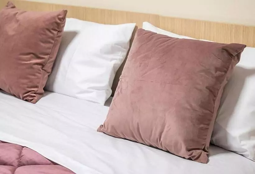 تختخواب و صبحانه Suisse