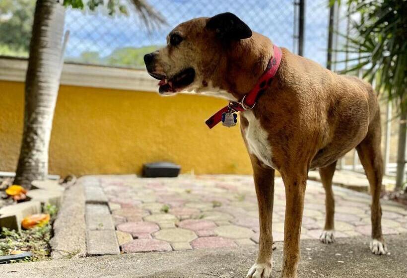 پانسیون Casamares Private Room Solario With Pool And Jacuzzi 5 Min To Boqueron And Beaches