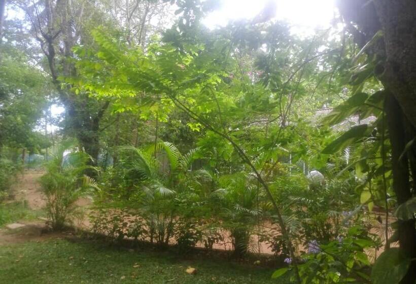 Bed and Breakfast Arunalu Guest Triple