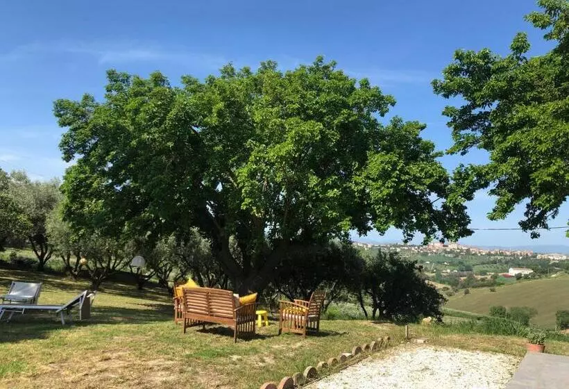 ホテル Agriturismo   Apis In Tabula