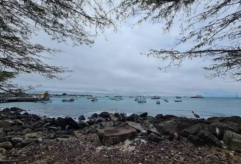 هتل Indigo   Galapagos, An Ihg