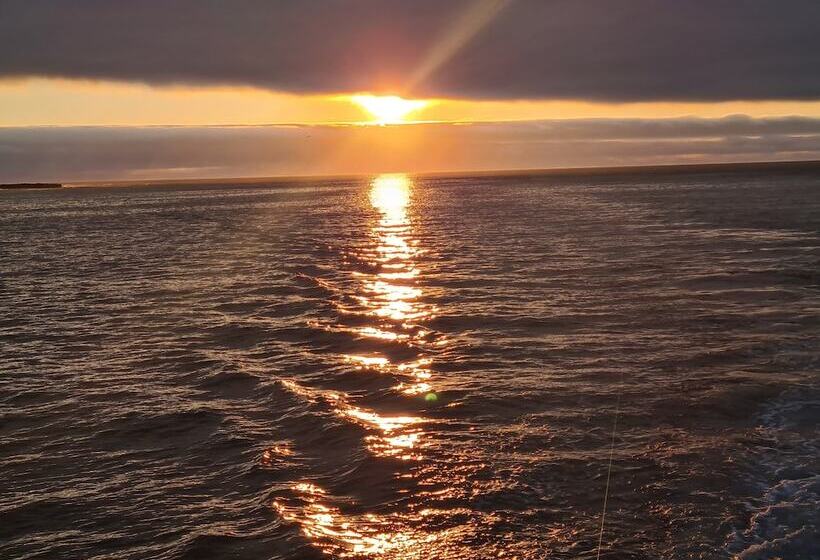 فندق Indigo   Galapagos, An Ihg