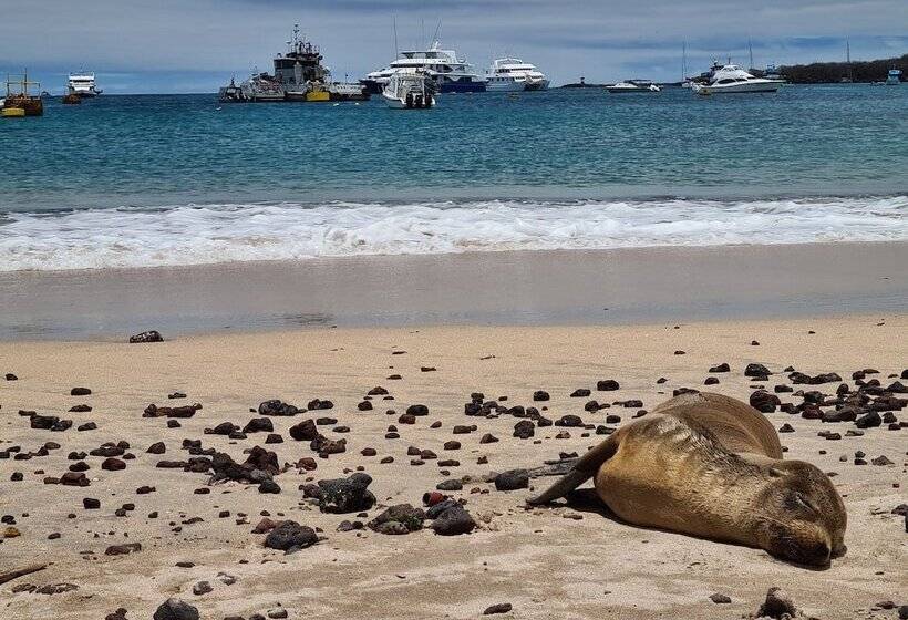 فندق Indigo   Galapagos, An Ihg