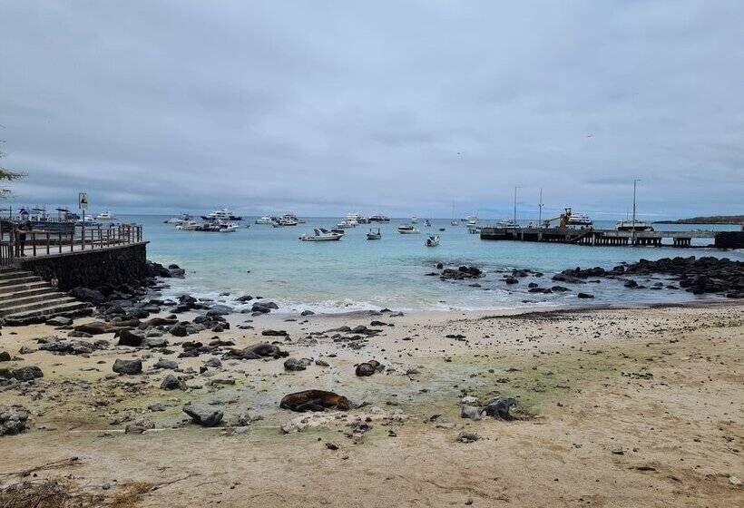 فندق Indigo   Galapagos, An Ihg