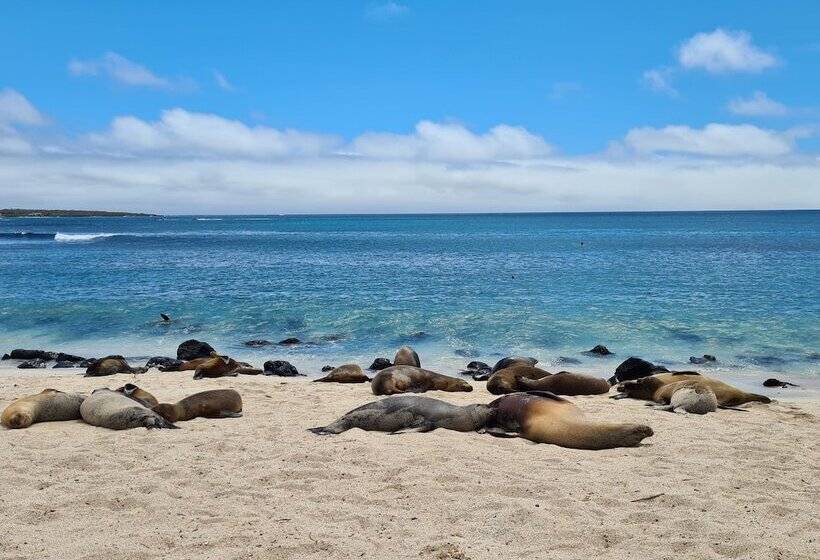 فندق Indigo   Galapagos, An Ihg