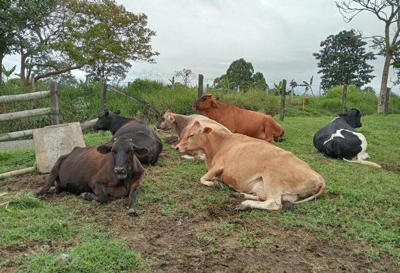 Hotel Rancho Ventura