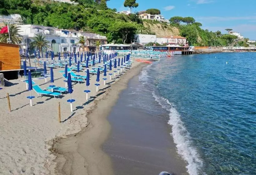 호텔 Terme Cristallo Palace & Beach