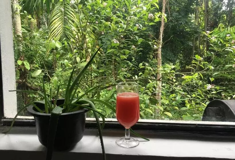 ベッドアンドブレックファースト Pilimathalawa Eco Lodge And Hostel