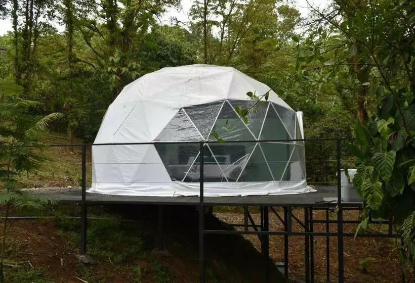 ベッドアンドブレックファースト Roble Coral Glamping