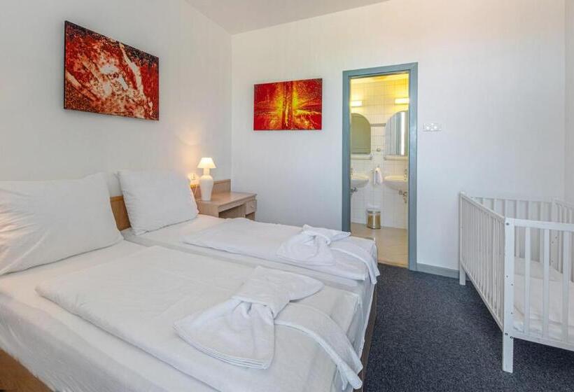 פנסיון Zsóry Liget Vendégház