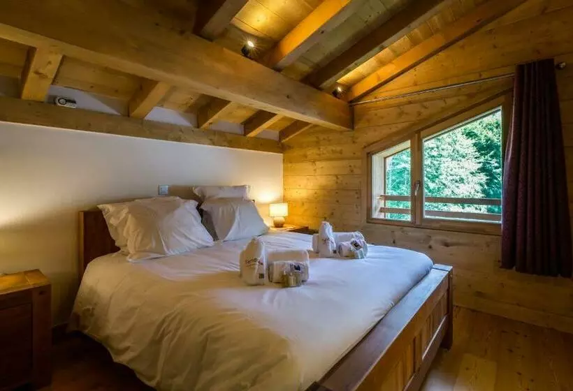 Delys   Renovated   Beside Park   Climbing Wall   Hikes   Mont Blanc Views