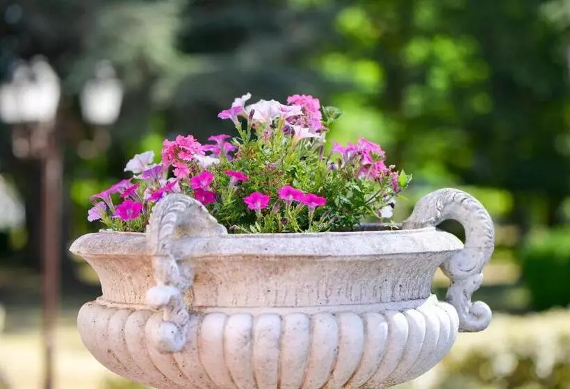 Hotelli Logis Hôtel Restaurant Le Parc