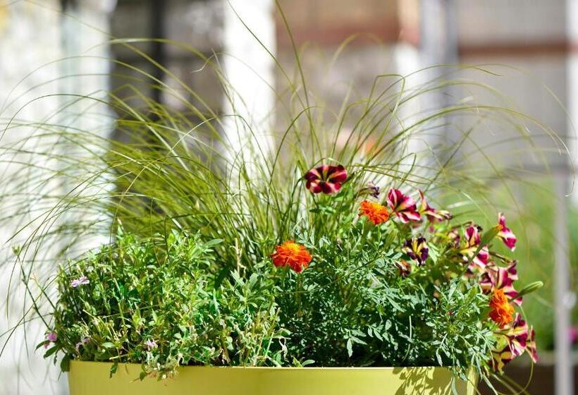 בית מלון כפרי Logis Hôtel Restaurant Le Parc