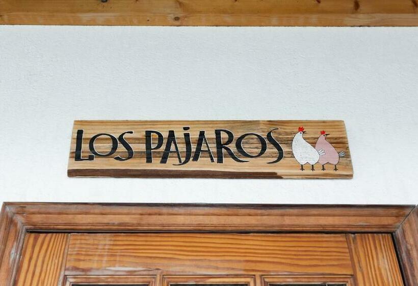 ホテル Los Pajaros