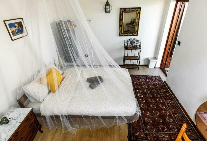 ホテル Los Pajaros