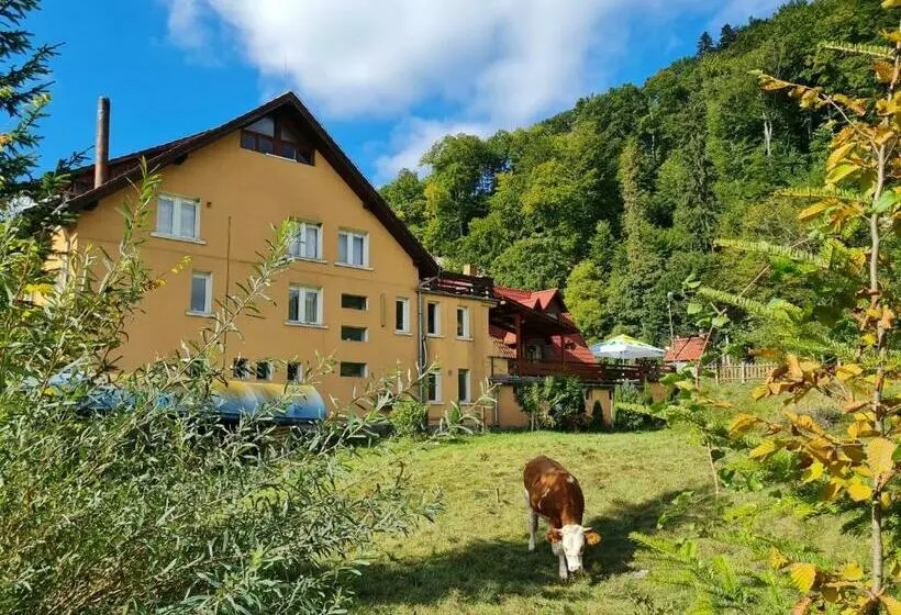 Motel “la Butuci”