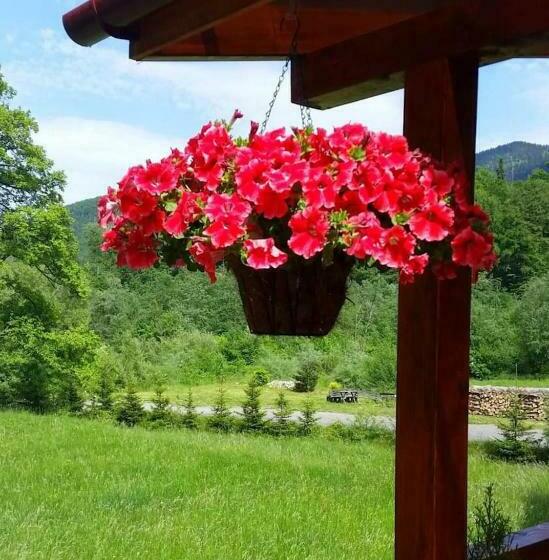 Motel “la Butuci”