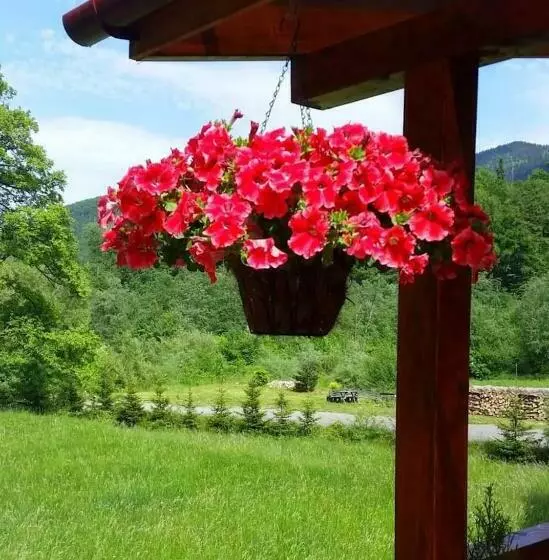 Motel “la Butuci”