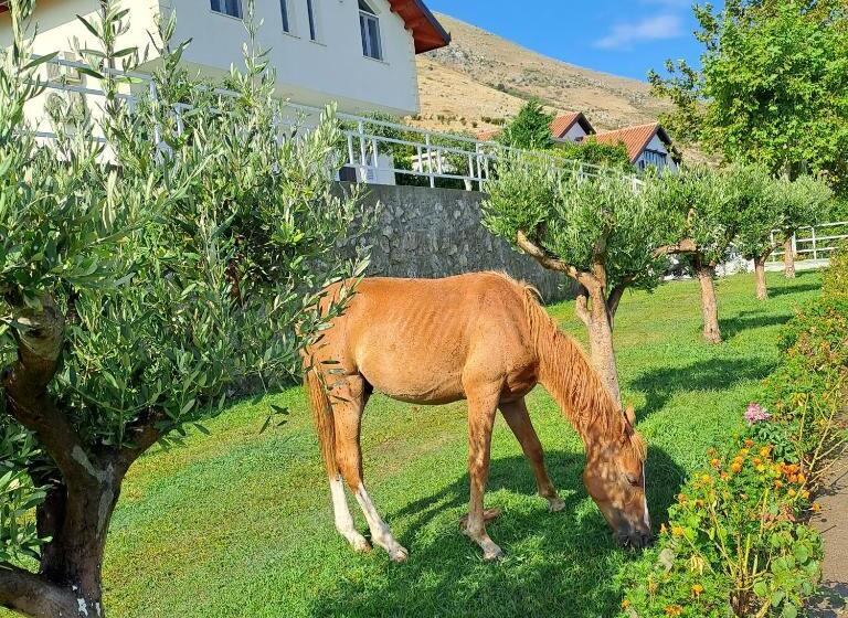 پانسیون Xhuli Guesthouse