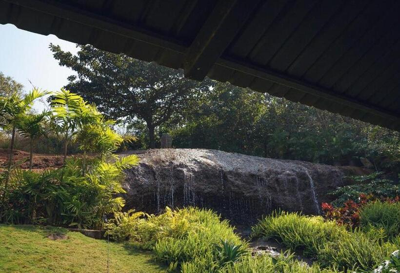 Hotel Canary Islands Resort & Spa