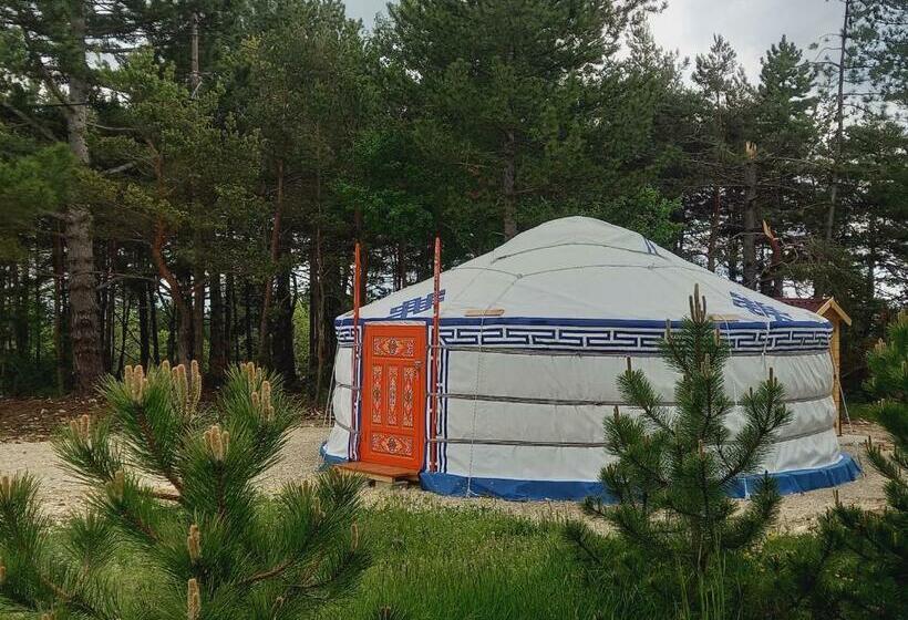 بنسيون A Ventoux Yourte