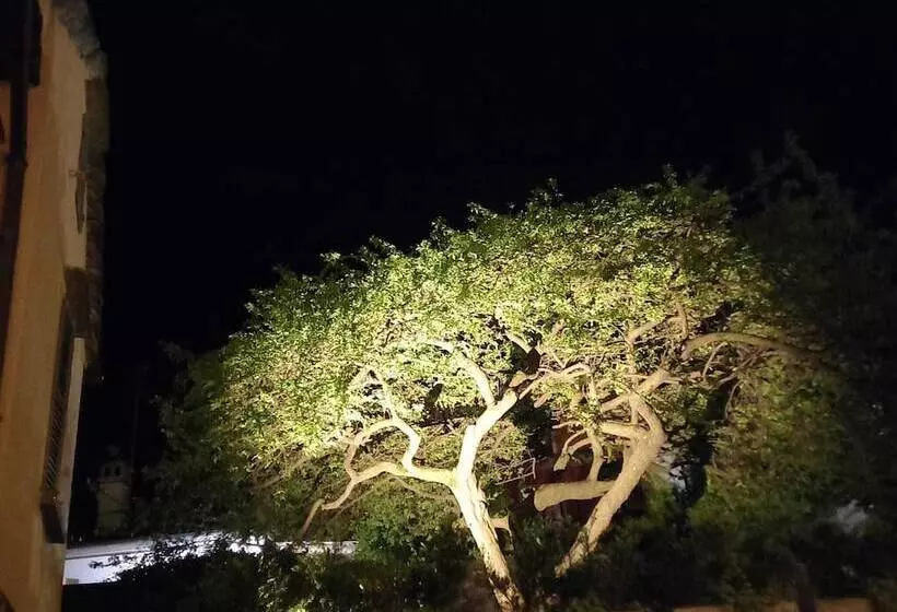 ベッドアンドブレックファースト Villa Chiovenda Residenza D Epoca