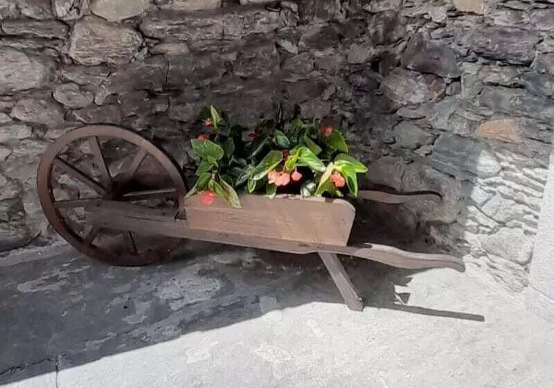 ベッドアンドブレックファースト Villa Chiovenda Residenza D Epoca