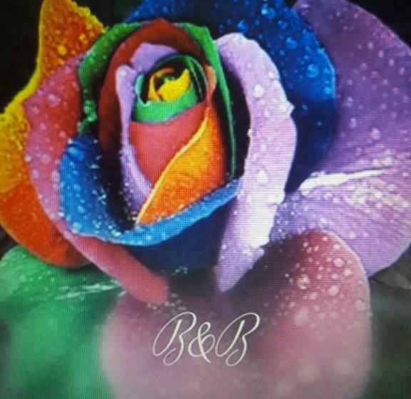 민박 Villa Delle Rose