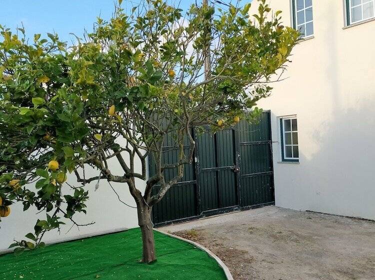 פנסיון Brisa Do Mar