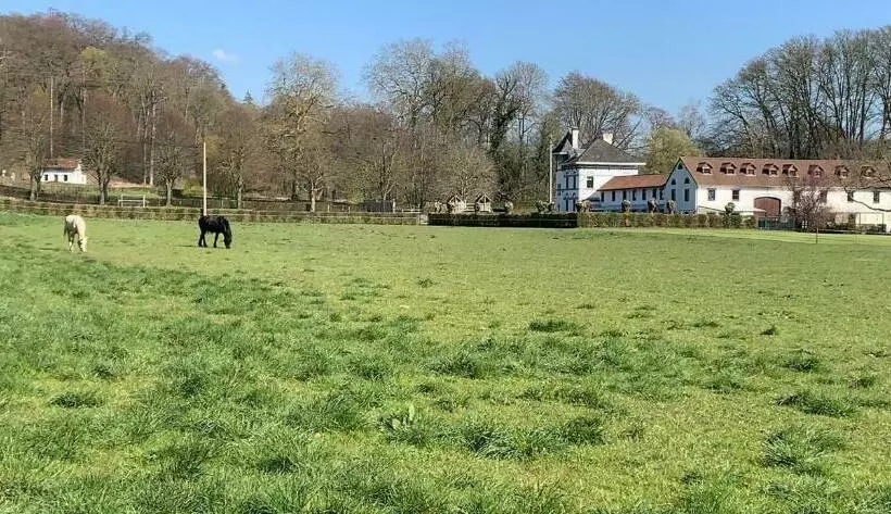 Aamiaismajoitus (B&B) De Molenhoeve