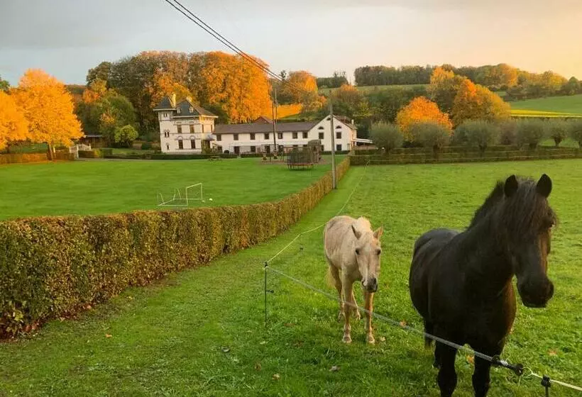 Aamiaismajoitus (B&B) De Molenhoeve