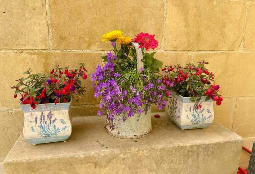 تختخواب و صبحانه Ellie Boo