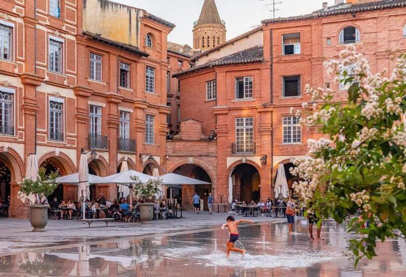 Duplex Ivoire Au Coeur De Montauban