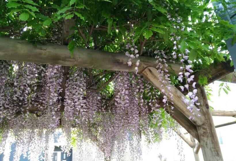 פנסיון B&b Yoshida   Vacation Stay 12707