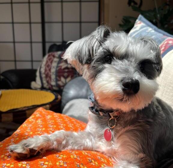 פנסיון B&b Yoshida   Vacation Stay 12707