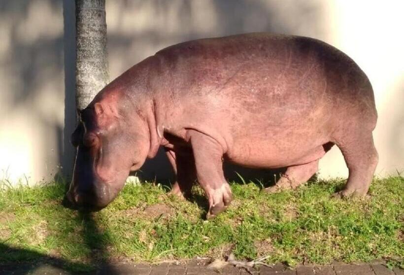 St Lucia Villa Mia 5