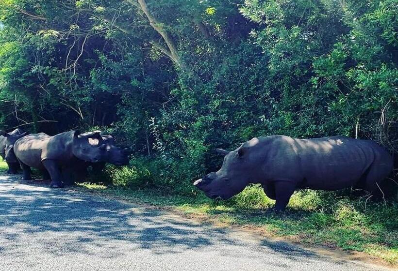 St Lucia Villa Mia 5