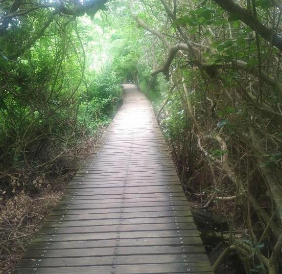 St Lucia Villa Mia 5