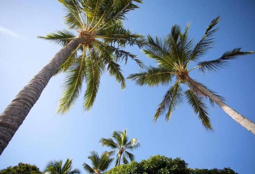 Airlie Sun & Sand Accommodation #4