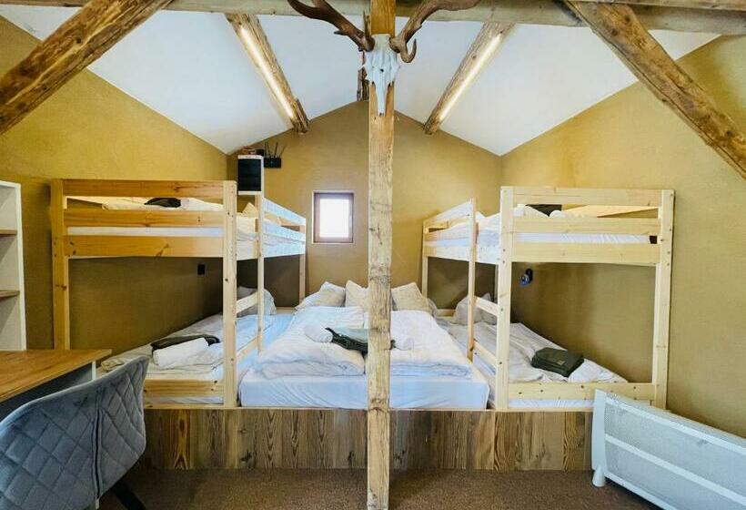 هاستل Hämmermoosalm