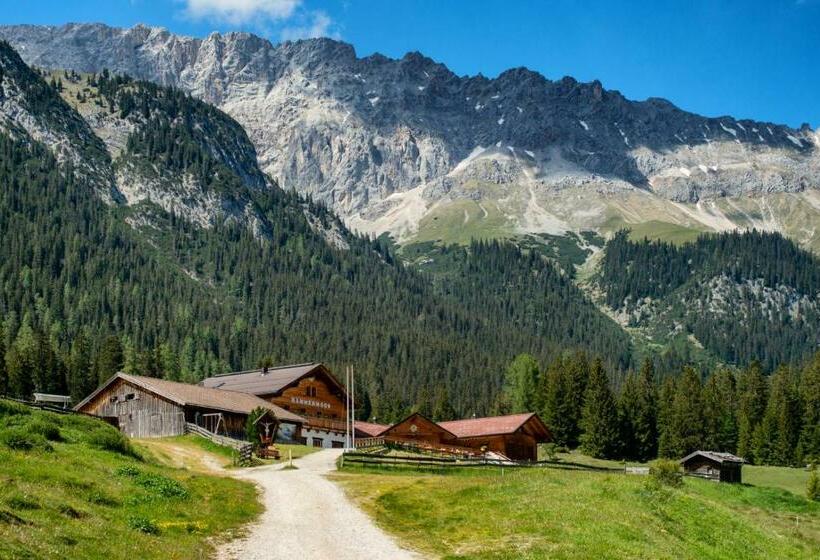 هاستل Hämmermoosalm