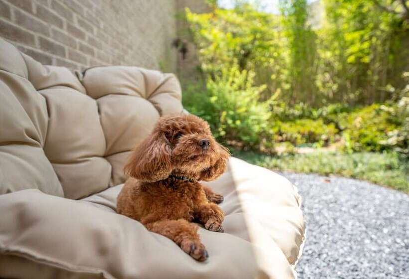 בית מלון כפרי Voco Nanjing Garden Expo, An Ihg