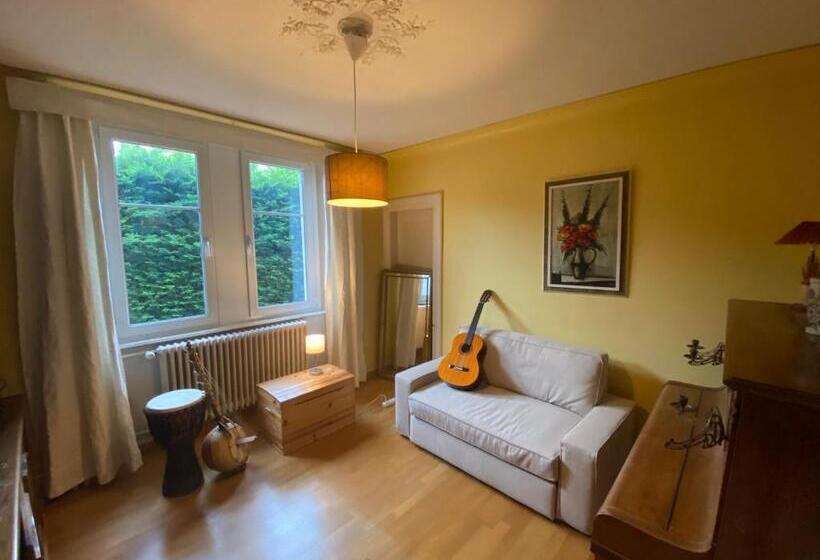 Magnifique Villa à 5 Minutes De Colmar