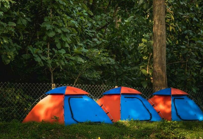 リゾートホテル Dandeli Whistle