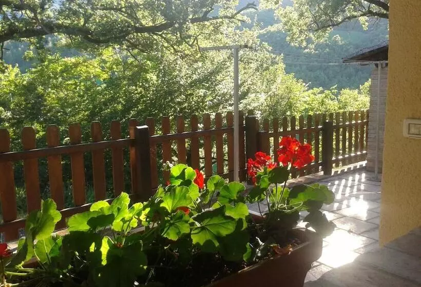 Agriturismo Orsaiola