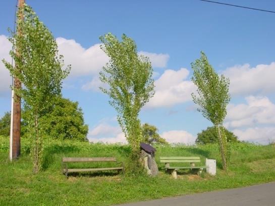 Bauernhof Thurner-seebacher