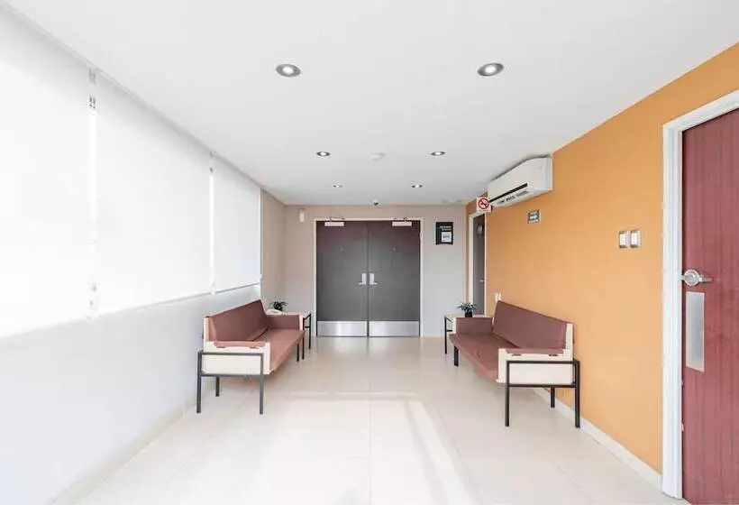 هتل City Express Junior By Marriott Veracruz Aeropuerto