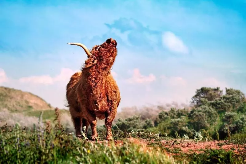 Fletcher Hotel Restaurant Teugel Uden Veghel